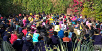 Ajmer Rajasthan Schools